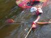 Toffi wird gerettet  » Click to zoom ->
